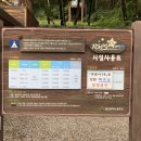 작천정별빛야영장 이미지