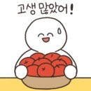 일광주짓수아카데미 이미지
