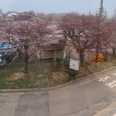 단소금 | 대부도 애견동반 카페 단소금 | 소금빵 맛집 | 분위기 좋았던 단소금 후기 (위치,메뉴,주차정보) | 노...