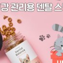 기가덴탈