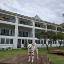 글램독통영 이미지