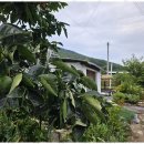 느린오후 이미지