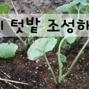 봉양농장2 이미지