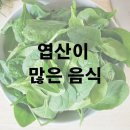 엽산이 많은 음식 시금치 브로콜리 이미지