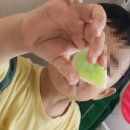 분홍고래미술교습소 | 아이랑 엄마표 집콕 놀이 크라시에 오에가키 구미랜드 젤리 만들기