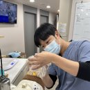 광주일곡병원 | 광주일곡동물병원 비타 강아지 눈물자국 상담 후기
