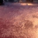 (유)장보고싶은마트신가점 | 진도 쏠비치 2박 3일 여행 그리고 목포 맛집 추천