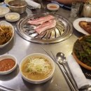 오줌장군 Daum카페