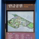 꽃구름 어린이공원 놀이시설2(아지트모험, 숲속네트놀이) | 3월 충주 1박2일 주말여행 코스 추천 ②탄 - 충주 탄금공원