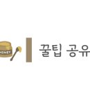 보얀트 캠핑 이미지