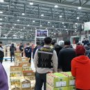 농산물도매시장 이미지