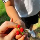 경산시 이동지원센터 이미지