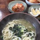 보은팜 | ⑤ | 제주도 5박 6일 태교여행 5일차 : 금능이모네 사려니숲길 길갈팜랜드 카페레이오버 함덕 맛집 후기