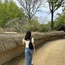 금련사유치원 | 용인 봄나들이 가볼만한곳 한국민속촌 제대로 즐기는 후기 (입장료 할인 귀굴 놀이기구)
