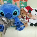 천생세탁 이미지