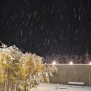 소시담가 이미지