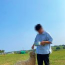 양떼목장) 울산 오프 그레이 카페 울산 자동차 극장(범서 온천 자동차 극장) 이색 데이트 울산 데이트 코스