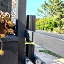 조이힐펜션 이미지