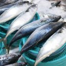 한림대병원_서 | 한림대동탄성심병원장례식장에서 함백산추모공원까지 3일 동행 장례후기