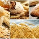 사파동성종합상가 이미지