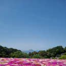 섬마을바다 이미지