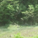 포항시북구43 이미지