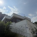 스테이 무코 이미지