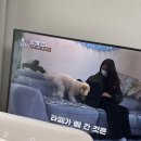 한슬농장 이미지