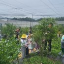 폴개네제주드림캠프 | 퍼블렉시티가 알려주는 폴개협동조합과 폴개 강명실, 퍼블렉시티와 함께 PPT안을 작성해 보다