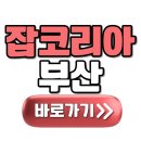 르노코리아강서서비스센터㈜ | 잡코리아 부산 채용 구인구직 정보 확인하기