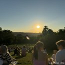 시가지 거리미관 개 | 체코 여행 프라하 가볼만한곳 카를교 프라하성 구시가지 필수 명소 총정리 2026