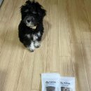 바른멍쿡 이미지