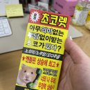 성진약국 | 2026년 2월ㅣ힘들었기에 더 특별했던 우리의 날💍