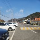 칠곡동물체험카페 | 경북 칠곡 대구 근교 먹이주기 체험가능한 칠곡동물체험카페