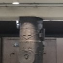 코스코마켓 이미지