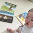 그림책으로 듣는 이야기 클래식 | 7개월 아기 도레미곰 전집 클래식 책육아 후기 유아책추천