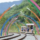 청도레일바이크 이미지