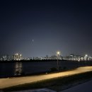 금성주단 이미지