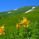 평화동017 이미지