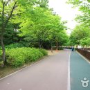 율동공원 이미지