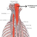영등한의원 이미지