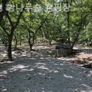가평밤나무숲캠핑장 | 가평 캠핑장 가평 밤나무숲 캠핑장 캠핑여행기뷰맛집체험후기
