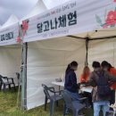 가호마을회관 | 노형동4.3평화올레걷기 행사후기.2023.제주도 행사 리뷰.