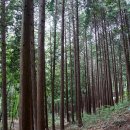 성주산자연휴양림 이미지