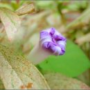 문심당한의원 이미지