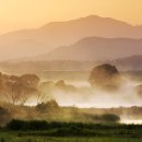호수공원2 축제섬 앞 이미지