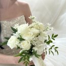 수레실길 | [웨딩] 토탈샵 라본누벨스튜디오 웨딩 촬영 내돈내산 후기🤍 (최종 보정본 수령)