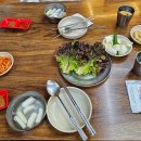 뚱뚱이할머니족발 | <서울 중구 맛집> 60년 가까이 지켜온 장충동 전통 족발 맛집, 뚱뚱이할머니집 후기!