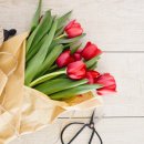 비누꽃으로만드는세상 이미지