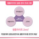 셀룰라이트 타파! 연세SL의원